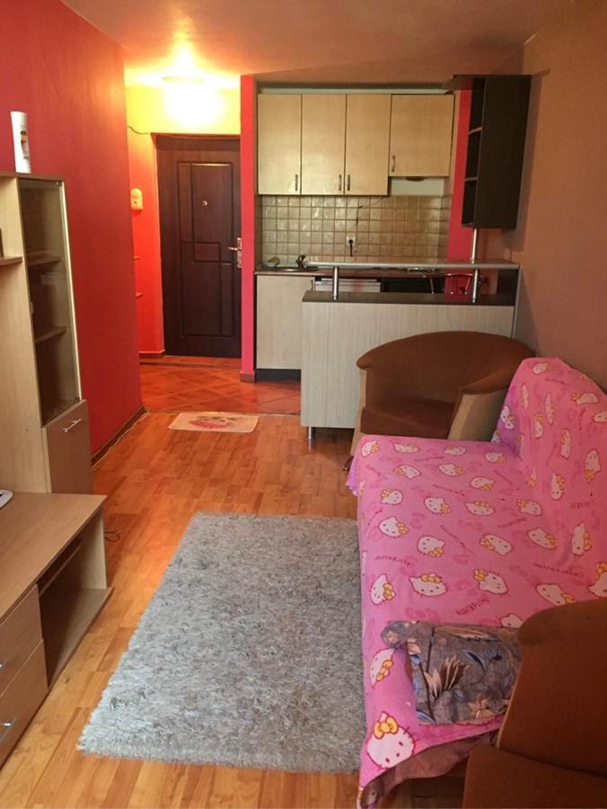 Apartament 2 Camere Arad Ngoại thất bức ảnh